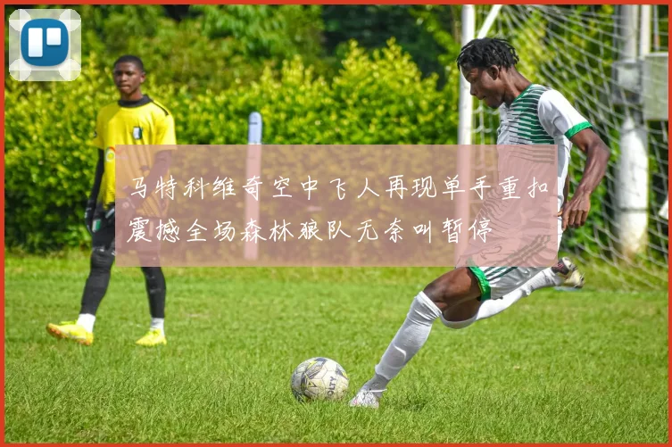 马特科维奇空中飞人再现单手重扣震撼全场森林狼队无奈叫暂停