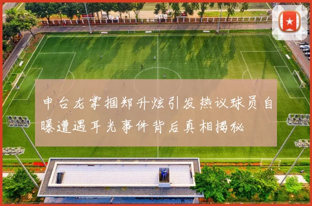 申台龙掌掴郑升炫引发热议球员自曝遭遇耳光事件背后真相揭秘