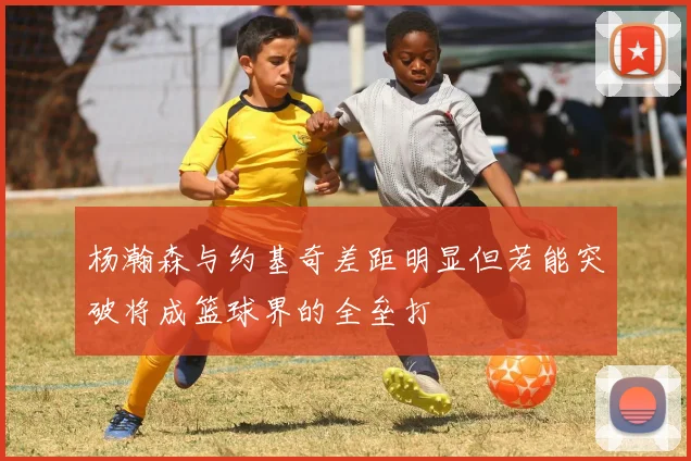 杨瀚森与约基奇差距明显但若能突破将成篮球界的全垒打