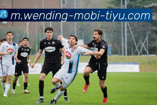 App Interface Preview